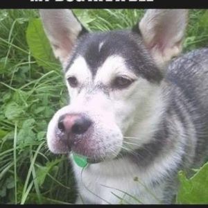 Meet your Posher, Chris